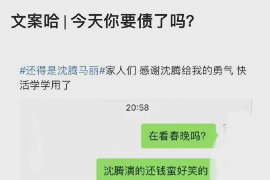 专业讨债公司是否合法：揭秘讨债行业的法律边界